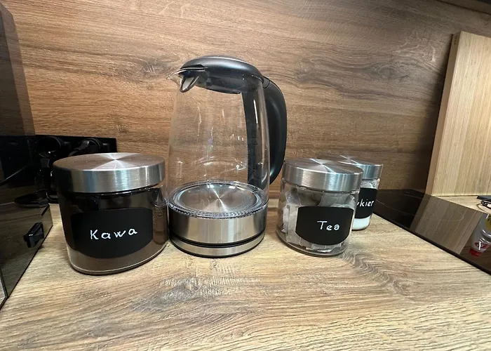 Plazowa Gray * שצ'צ'ירק